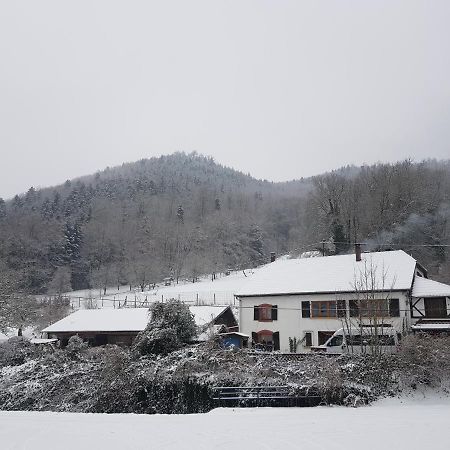 Gite Le Creux Chene Rombach-le-Franc Екстериор снимка