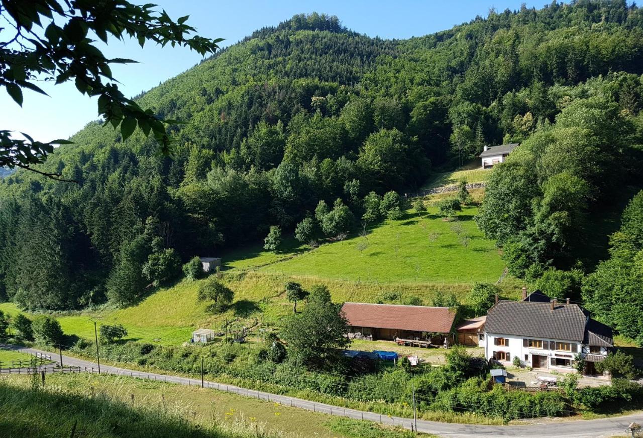 Gite Le Creux Chene Rombach-le-Franc Екстериор снимка